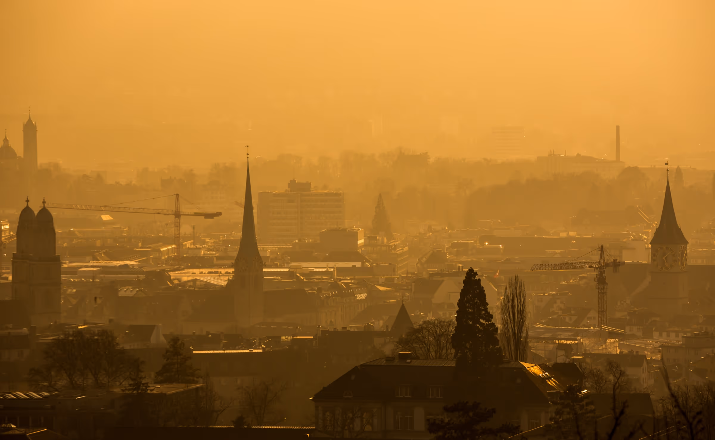 Umzug Hamburg Zürich