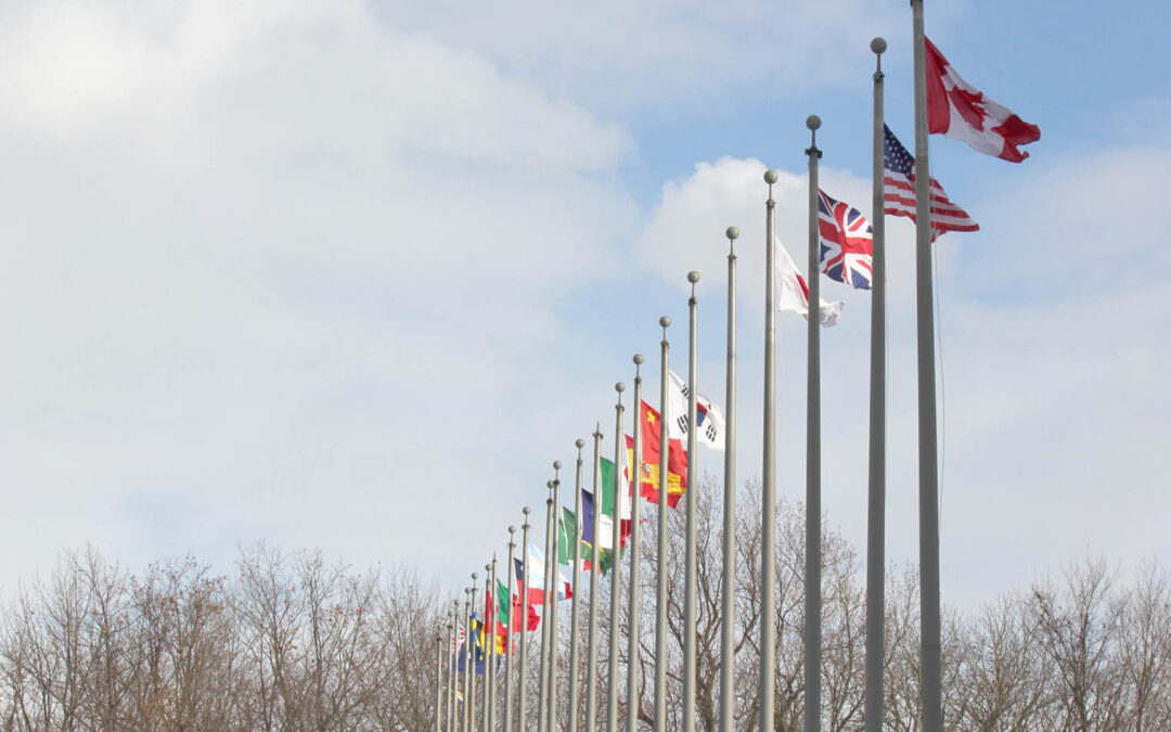 Umzugsunternehmen International