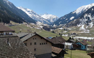 Fernumzug Deutschland-Schweiz
