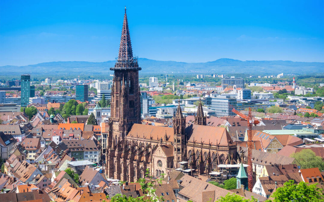 Umzug Hamburg-Münster