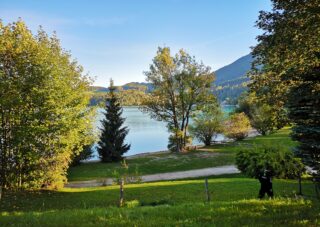 Rosengarten-Umzüge mit fuhrmann Umzuege